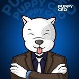Puppy CEO || Announcement