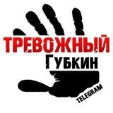 Тревожный Губкин