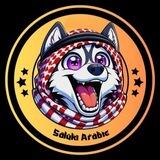 🇸🇦🇸🇦🇸🇦🇸🇦Saluki Arabic🇸🇦🇸🇦🇸🇦🇸🇦