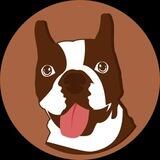 DOGONSWAP 🌏 Official Community