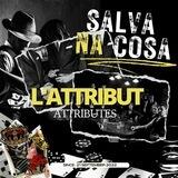 L'ATTRIBUT N21