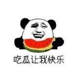 猎奇|吃瓜|搞笑|八卦|新闻
