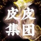 皮皮集团