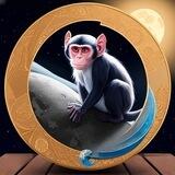 Moon Monkeys