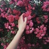 ─ ⊹ ׂ ִ ୨ Petite-cherub Habitation. ୧ ࣪ ׅ ⊹ ─