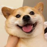 106卡发短信