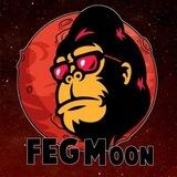 Fegmoon Token