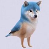 TWITOGE - TOGE