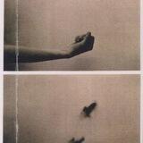 Illustration and Photography.