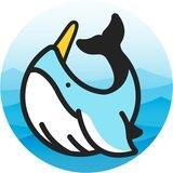 Narwhal|Chat