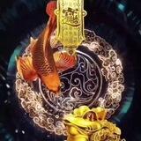 飞翔微信im（盘口直招）
