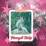 ◖﹒ 𝗠♡𝗡𝗬𝗘𝗧 𝗛𝗘𝗟𝗣 🐒 !¡ 谷