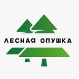 Спортивная база «Лесная опушка»