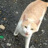 애슐리의 관점 🐈🌱🪷