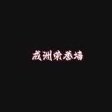 成洲集团荣誉墙