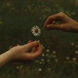 آر.غِین🌱