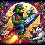 PEKA | GROK'S FROG | ERC 0 TAX