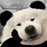 吃瓜摸鱼