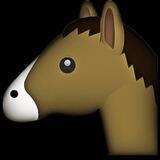 🐎 Horses Racing Bet
