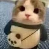 不测试租Q