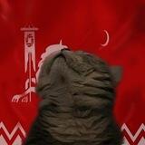 𝔸𝕞𝕚𝕣𝕠𝕧𝕟𝕒 𝕓𝕣𝕒𝕟𝕕
