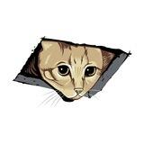 Ceiling Cat | 0% Tax