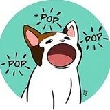 POPCAT | TRAPIX交易所孵化项目