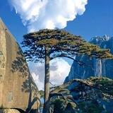 心心念念