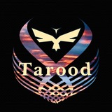 SinaTarood