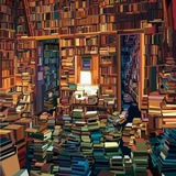 Malom | Книжное пространство в Будапеште