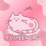 Pusheen Cat Solana