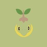 Turtwig Token - 0% Tax - Lock 1 year - Ca Renounced