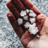 Соль земли