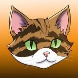 Tigra 🐈