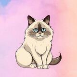 Taylor Swift Cat | Benjamin Button