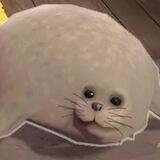 bouncing seals coin (portal)