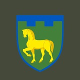 111 бригада Сил ТрО ЗСУ