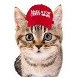 TRUMP CAT