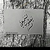 Yaqob Hamood