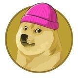 dogewifcoin - The Dogwifhat Killer