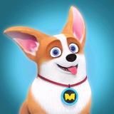 DOGMOCO | SOLANA MEME