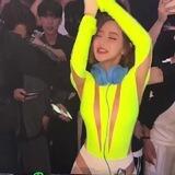 万兽集团后宫