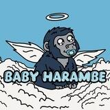 BABY HARAMBE | COMMUNITY