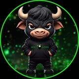 Bull Run Bets Official Chat