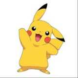 PIKACHU INU ⚡️