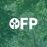 Open Forest Protocol Trading Signals (FREE)