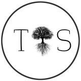 گالری تیس/ Tiiss_gallery