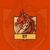 ST 项目反馈频道