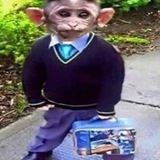 somewheresolutions