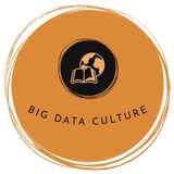 Big Data Culture
